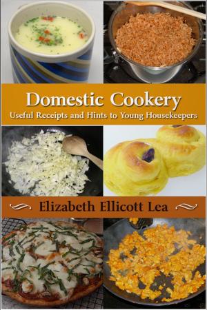 bigCover of the book Domestic Cookery by 