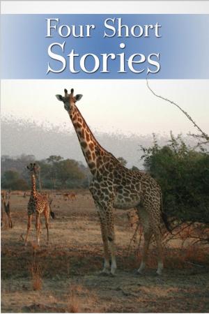 Cover of the book Four Short Stories by Keith Harvey