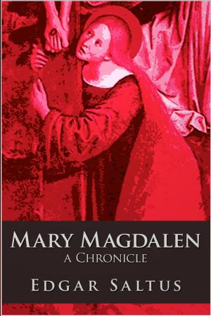 Cover of the book Mary Magdalen by Miguel de Cervantes Saavedra, Federico Jeanmaire, Ángeles Durini