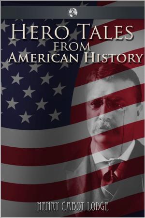 Cover of the book Hero Tales from American History by Petr Macek