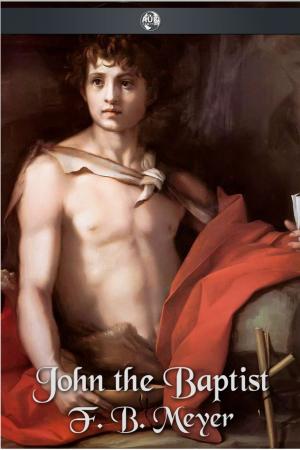 Cover of the book John the Baptist by David Marcum