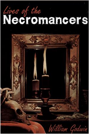 Cover of the book Lives of the Necromancers by Paul Andrews
