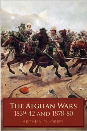 Cover of the book The Afghan Wars by Derrick Belanger