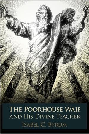 Book cover of The Poorhouse Waif