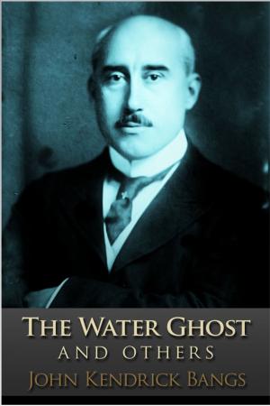 Cover of the book The Water Ghost by Jack Goldstein