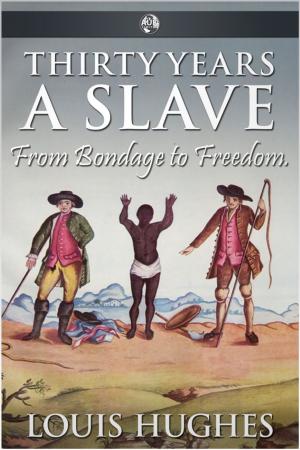 Cover of the book Thirty Years a Slave by David Marcum