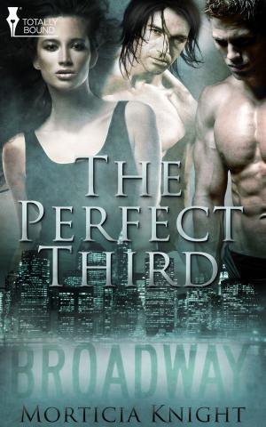 Cover of the book The Perfect Third by Arabella Kingsley