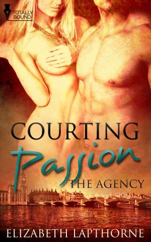 Cover of the book Courting Passion by Noelle Keaton