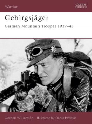 Cover of the book Gebirgsjäger by Professor Howard Caygill