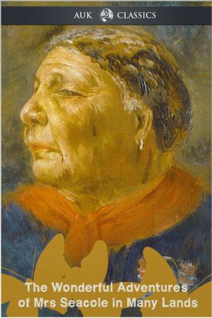 Book cover of The Wonderful Adventures of Mrs Seacole in Many Lands