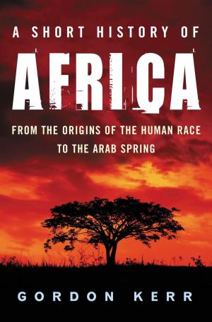 Cover of the book A Short History of Africa by Mark Timlin