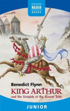 Cover of the book King Arthur and the Knights of the Round Table by David McCleery