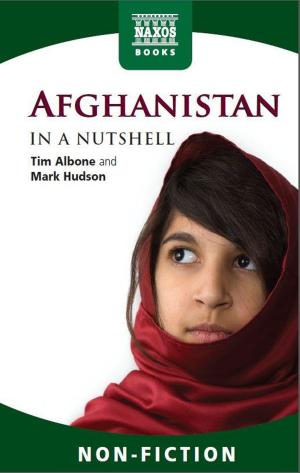Cover of the book Afghanistan In a Nutshell by Jeremy Siepmann