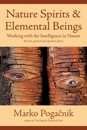 bigCover of the book Nature Spirits & Elemental Beings by 