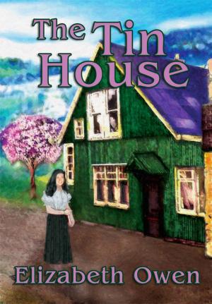 Cover of the book The Tin House by Portia Moore