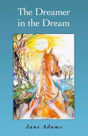 Cover of the book The Dreamer in the Dream by Dan Papworth