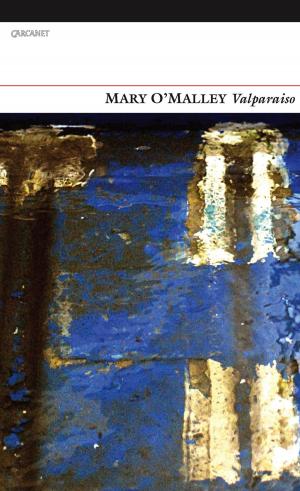 Cover of the book Valparaiso by Gillian Clarke