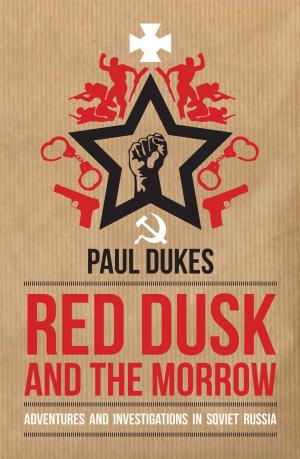 Cover of the book Red Dusk and the Morrow by Andrew Symeou