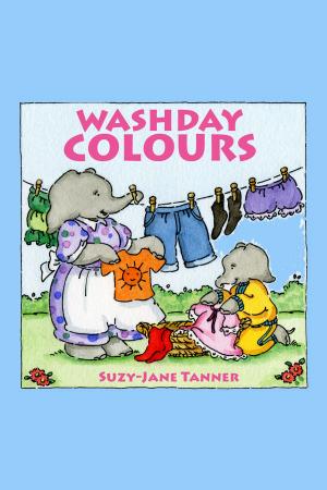 Book cover of Washday Colours