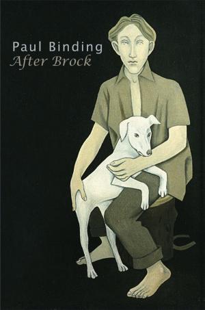 Cover of the book After Brock by Jo Mazelis