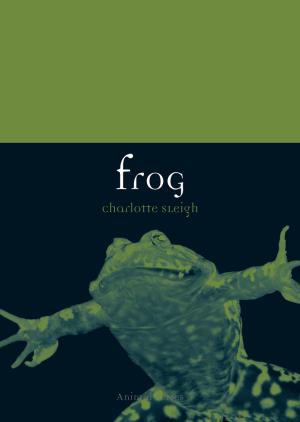 Cover of the book Frog by Ernst van Alphen