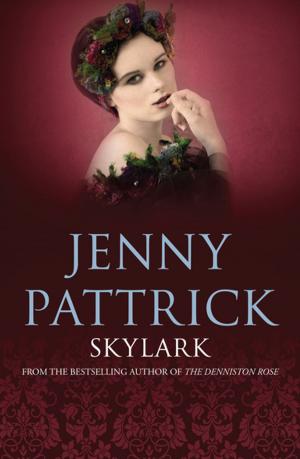 Cover of the book Skylark by Joanna Orwin