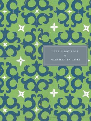 Cover of Little Boy Lost
