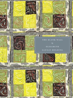 Cover of the book The Blank Wall by RM Brand