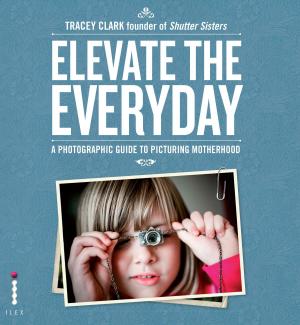 Cover of the book Elevate the Everyday by Christopher Fielden