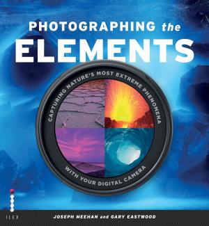 Cover of the book Photographing the Elements by Jan Latta