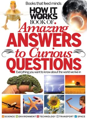 bigCover of the book How It Works Amazing Answers to Curious Questions by 