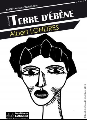 Cover of the book Terre d'Ébène by Comte  Kerkadek