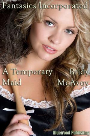 Cover of Fantasies Incorporated: A Temporary Maid