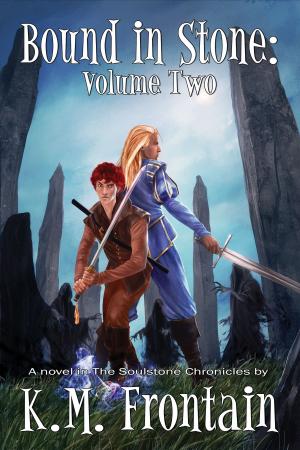 Cover of the book Bound in Stone: Volume Two by Harrison Davies