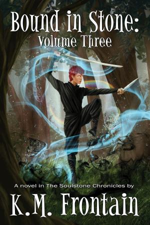 Cover of the book Bound in Stone: Volume Three by Michael Angel