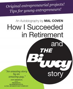 Cover of the book How I Succeeded in Retirement and the Biway Story by Tim Cork