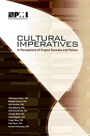 Cover of the book Cultural Imperatives in Perceptions of Project Success and Failure by Michel Thiry