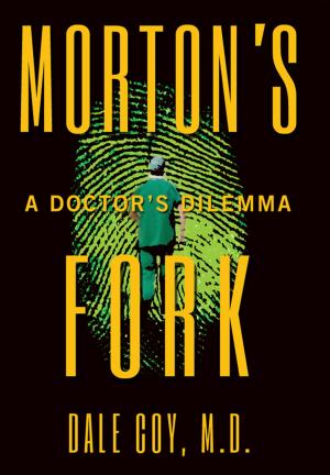 Cover of the book Morton's Fork by D.V. Berkom