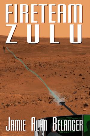 Book cover of Fireteam Zulu