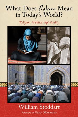 Cover of the book What Does Islam Mean in Today's World? by Algis Uzdavinys