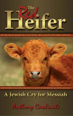Cover of the book The Red Heifer by David Friedman, Ph.D.