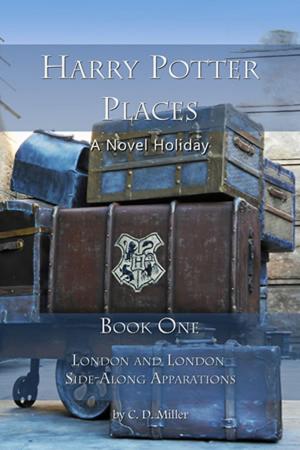 Cover of the book Harry Potter Places Book One by David Darling