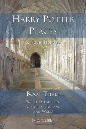 bigCover of the book Harry Potter Places Book Three--Snitch-Seeking in Southern England and Wales by 