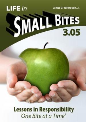 Book cover of Life in Small Bites: 3.05 Responsibility
