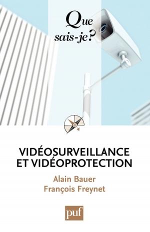 Cover of the book Vidéosurveillance et vidéoprotection by Daniel Borrillo, Caroline Mecary