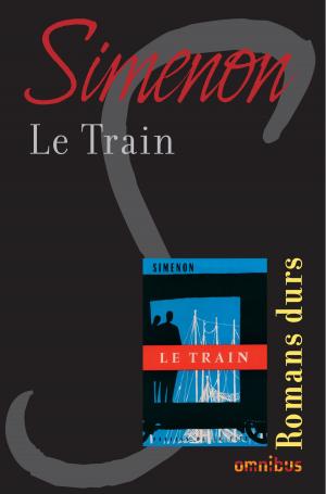 Cover of the book Le train by Hugo BORIS
