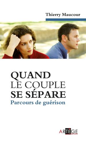 Cover of the book Quand le couple se sépare by Daniel O. Ogweno