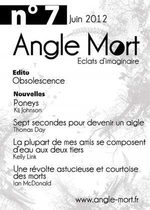 Book cover of Angle Mort numéro 7