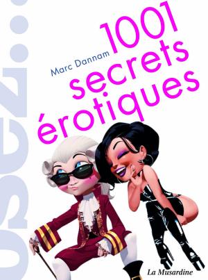 Cover of 1001 secrets érotiques