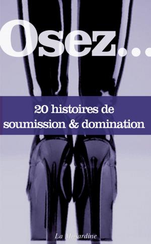 Cover of the book Osez 20 histoires de soumission et domination by Etienne Liebig